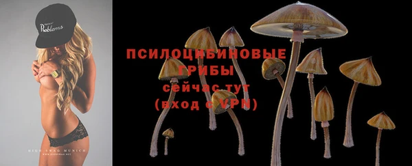 каннабис Баксан