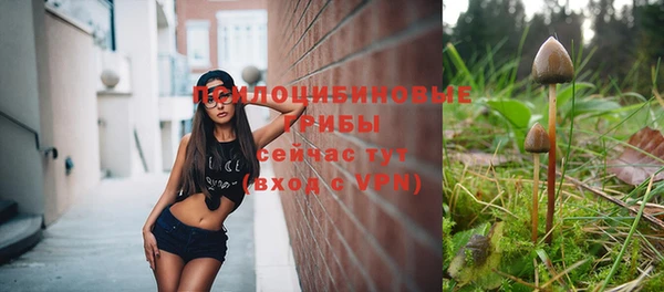 ПСИЛОЦИБИНОВЫЕ ГРИБЫ Балахна